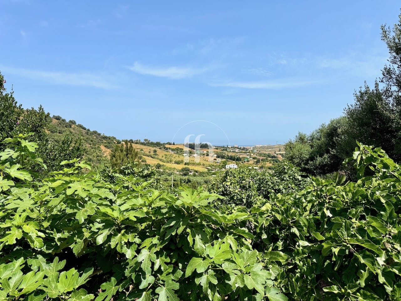 ¡Oportunidad única! Villa independiente con gran potencial cerca de Estepona - Image 21