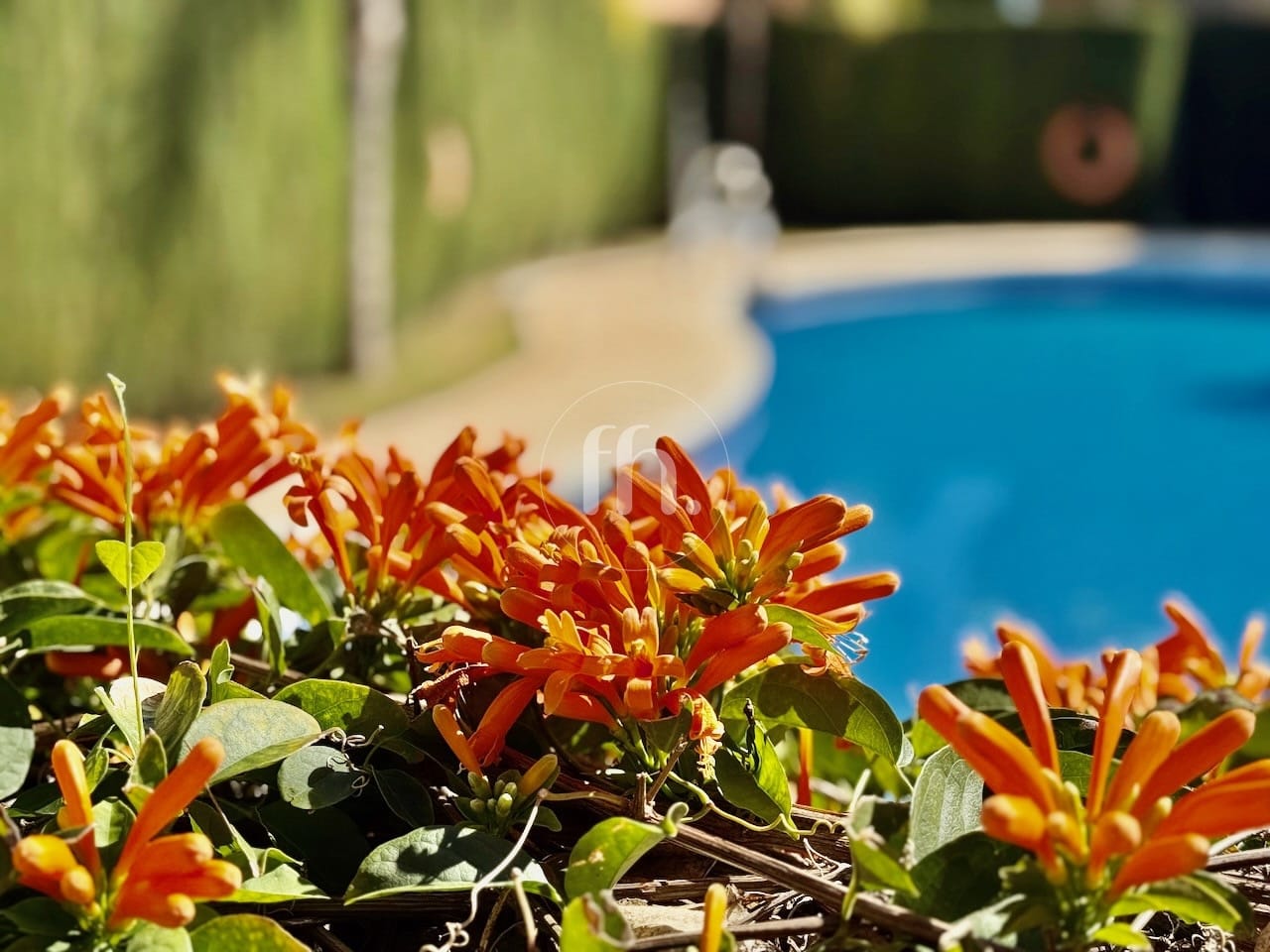 Corner Townhouse in Las Villas de Santa María, Estepona West - Image 22