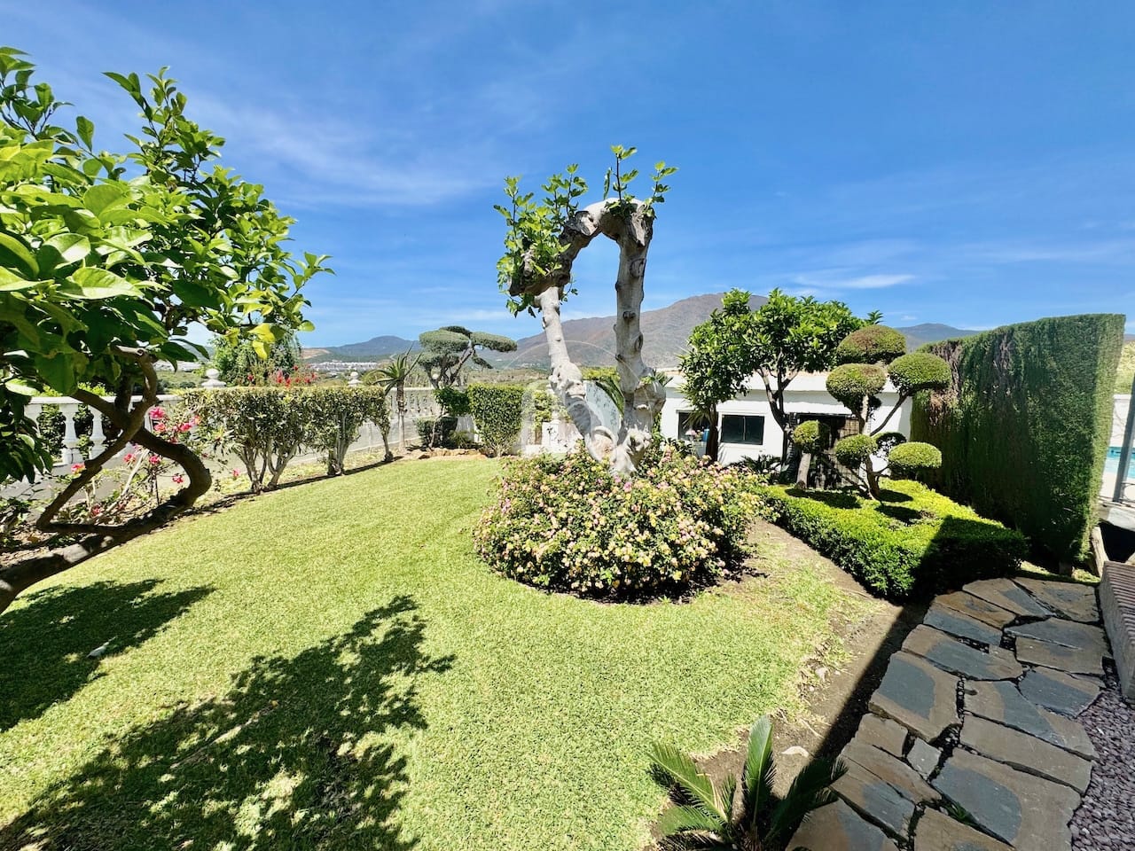 Detached one level family villa in Seghers, Estepona - Image 16