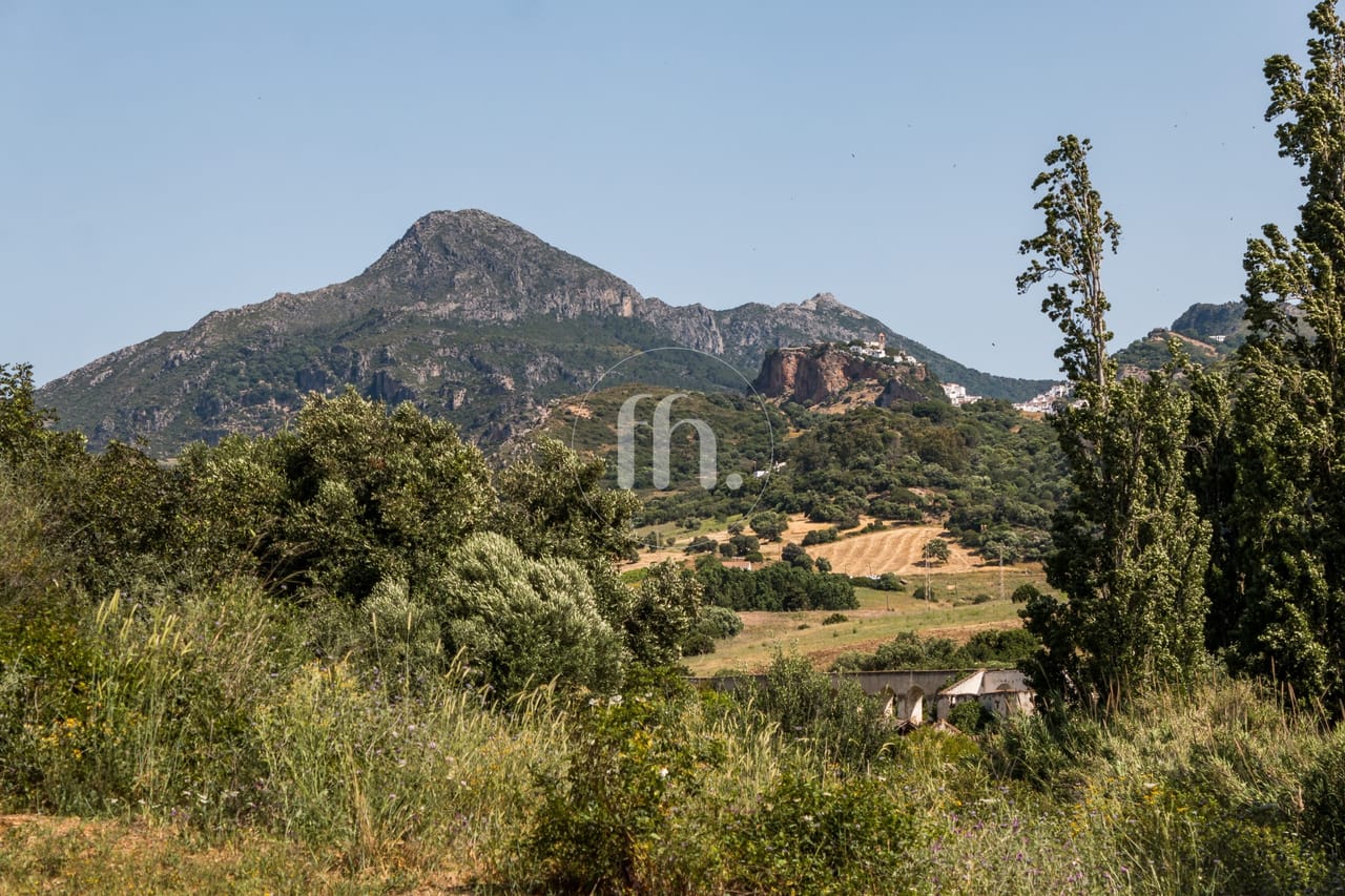 Beautiful finca for sale between Manilva and Casares - Image 12