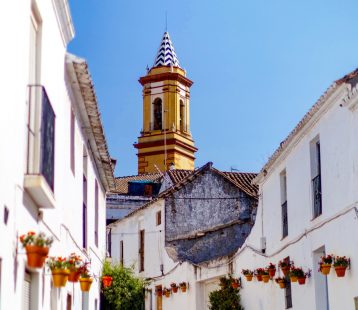 Specialists in <br>Estepona