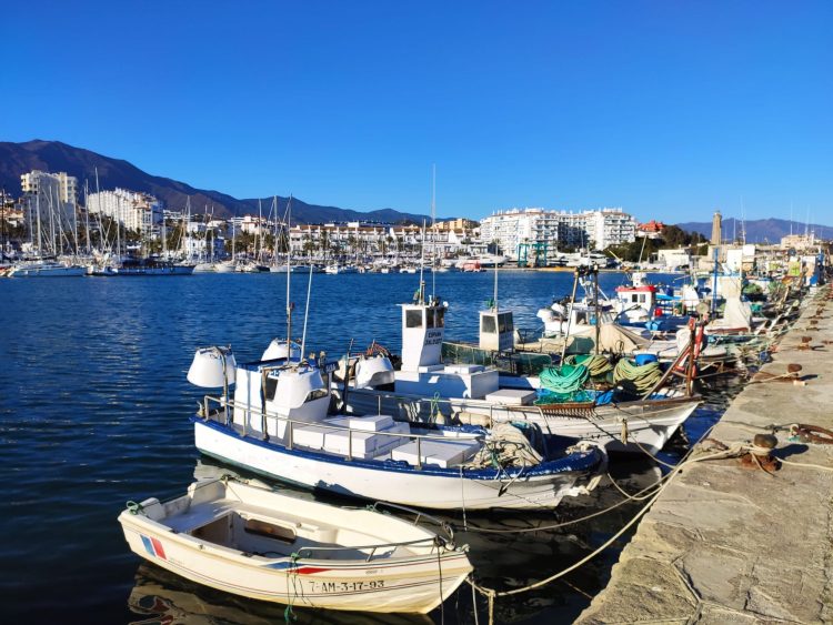 estepona port future homes