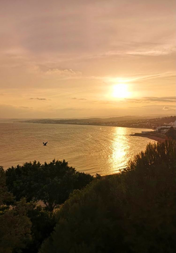 sea view estepona